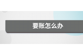 寒亭为什么选择专业追讨公司来处理您的债务纠纷？